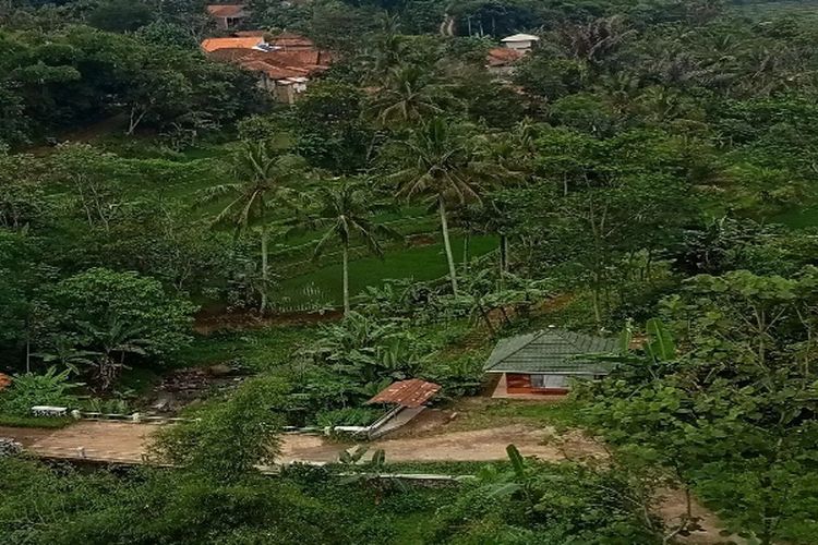 Menakjubkan! Ada Kampung Unik di Hutan Belantara Jawa Timur, Penasaran Siapa Penghuninya?
