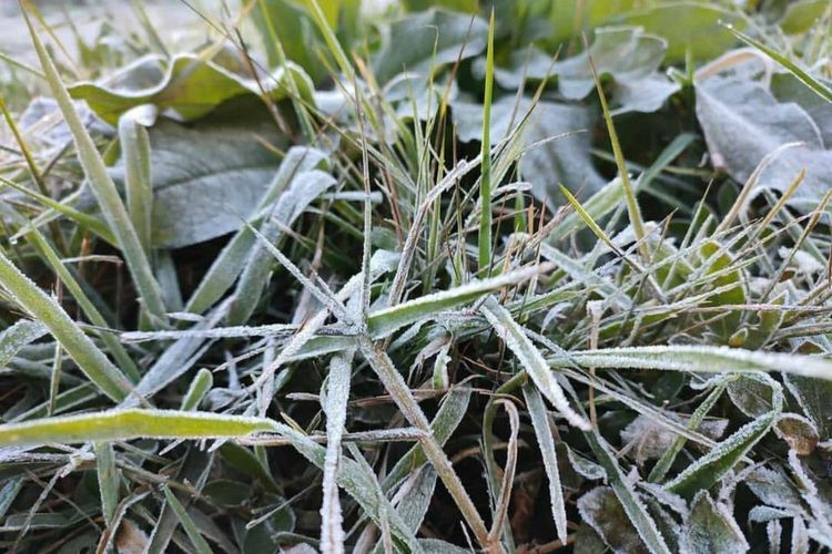 Embun Upas Siap Bikin Lumajang Jawa Timur Bersalju di Bulan Agustus? Begini Persiapan yang Bisa Dilakukan