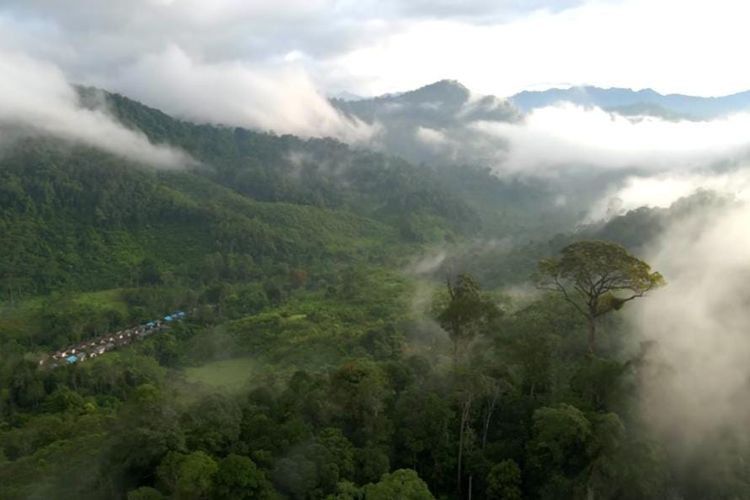 Hidden Gem  di Semarang! Hanya 30 Menit dari Masjid Agung, Paling Cocok Buat Healing Bareng Keluarga