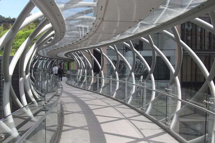 Gunakan APBD Rp 81,4 Miliar, Jembatan Kaca Skywalk di Riau Ini Berhiaskan Lampu Menari Sepanjang 58 Meter