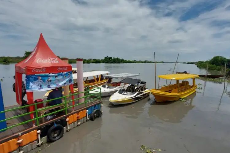 Satu-Satunya di Dunia! Pulau Hasil Endapan Lumpur Ternyata Ada di Jawa Timur