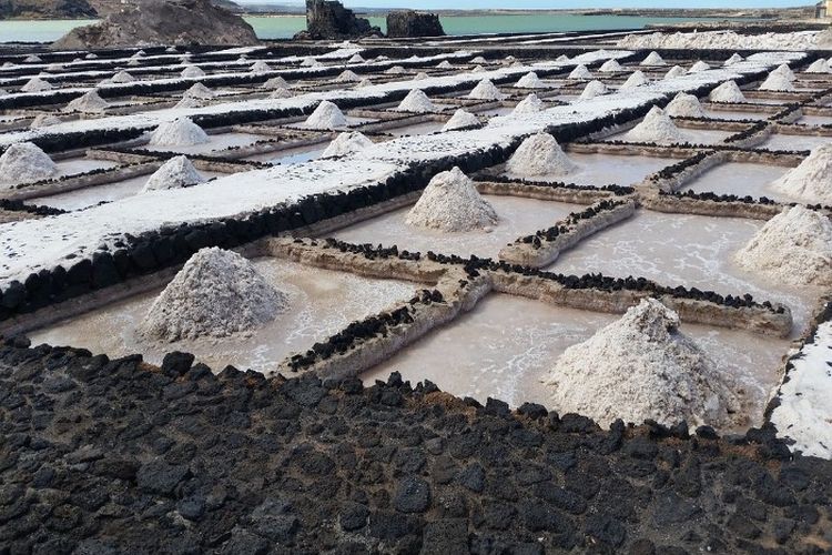 Raup Cuan dari Garam! Madura Ternyata Punya 4 Daerah Ini Buat Jadi Kontributor Produksi Garam Terbaik