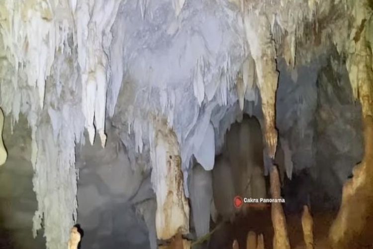 Gempar! Warga Lamongan Jawa Timur Ini Temukan Istana Bawah Tanah saat di Ladang Jagung, Tembus Laut Utara?