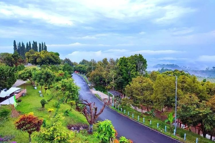 Layaknya Berlibur ke Kota Malang, 4 Kecamatan di Jember Ini Miliki Suhu Dingin Sepanjang Masa