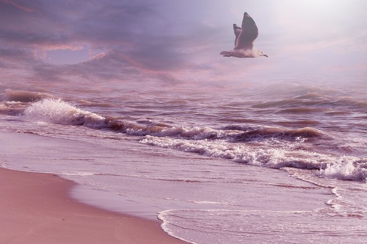 Ini 5 Pantai Terindah di NTT, Bikin Para Pelancong Manca Negara Melongo Dengan Panorama Eksotisnya