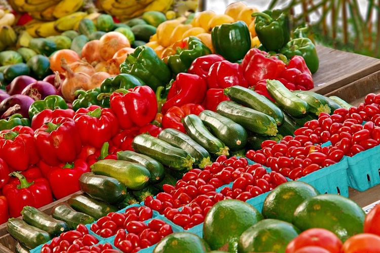 5 Daerah di Provinsi Lampung Ini Punya Biaya Hidup Paling Rendah, Benarkah Nomor 1 Mesuji?