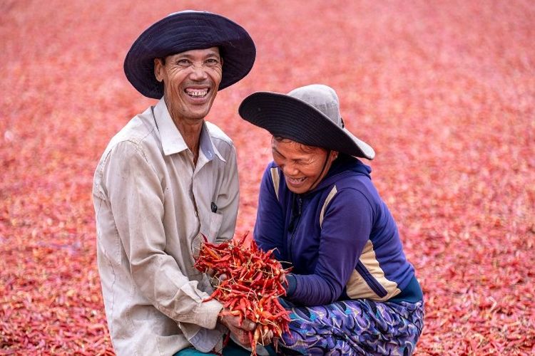 Berikut Daftar 5 Kecamatan Terkaya di Pacitan, Jawa Timur, Ada yang Sekali Panen Cuan Miliaran