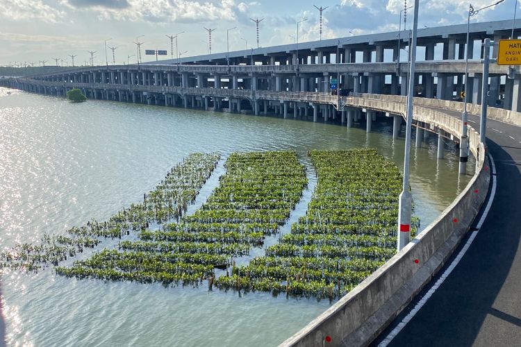 Berada di Atas Laut, Jalan Tol di Bali Ini Miliki Fasilitas PLTS! Jadi yang Pertama Berkonsep Ramah Lingkungan