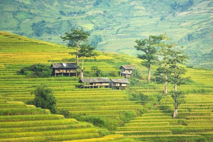 Seluruh Warga Desa Terpencil di Situbondo, Jawa Timur Ini Terkena Kutukan Mengerikan: Lokasinya…