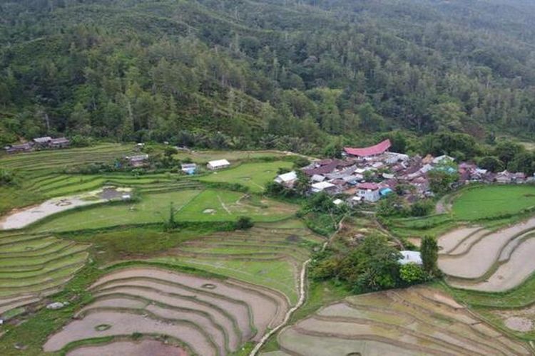 Dusun di Situbondo Jatim ini Dihuni 26 KK, Tidak Boleh Kurang atau Lebih! Benarkah Kena Kutukan?