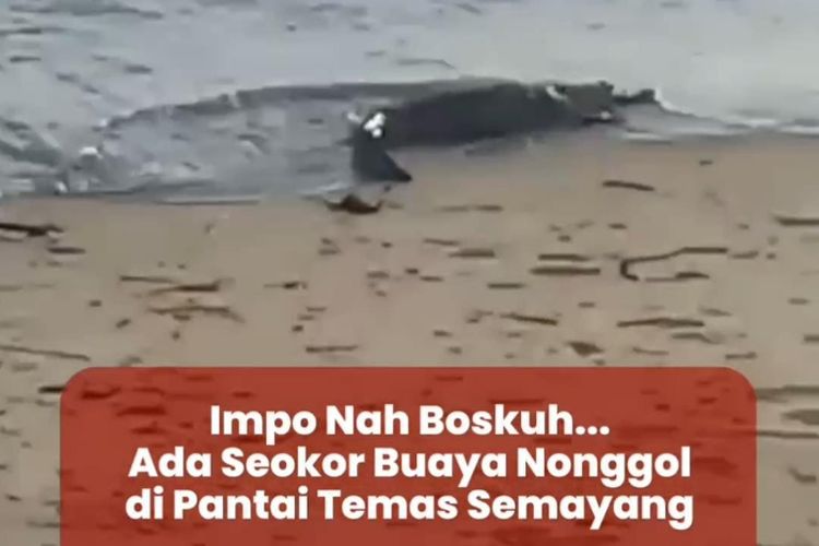 Viral! Postingan Polresta Balikpapan yang Tunjukkan Buaya di Pantai Temas Semayang Diserbu Komentar Netizen