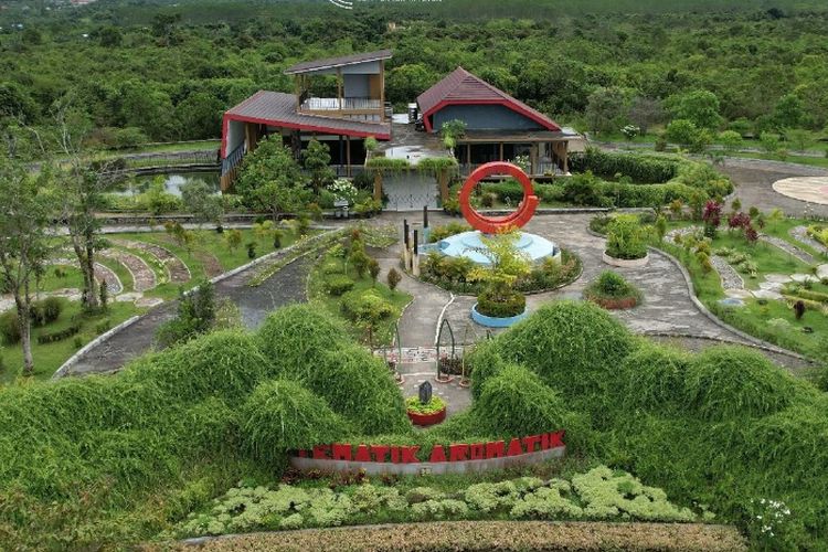 Unik! Selain Ada 3.000 Tanaman Langka, di Kebun Raya Banua Kota Banjarbaru Ternyata Ada Wisata Labirin Juga?