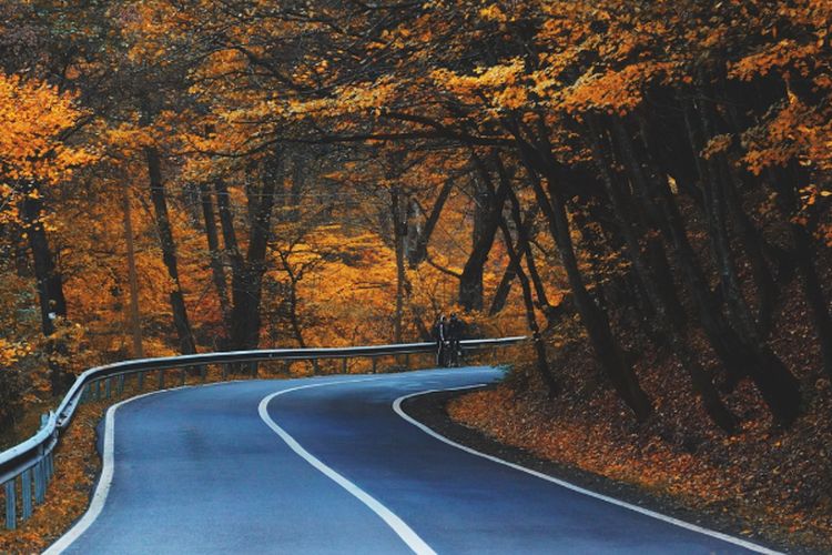 Panjangnya Lebih dari 20 Ribu Km, Seberapa Rusak Jalan di Lampung yang Pernah Viral?