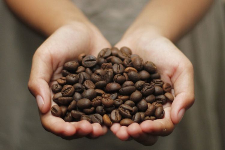 5 Daerah Penghasil Kopi Terbesar di Sumatera Selatan, Ada yang Hasilkan 20.833 Ton! Bisa Tebak Dimana?