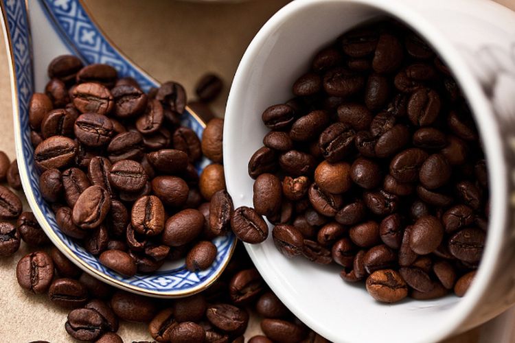 Punya Robusta Terbaik di Jawa Timur, Ternyata Pemkab Pasuruan Lakukan ini Hingga Sukses Hasilkan 713 Kg per Ha