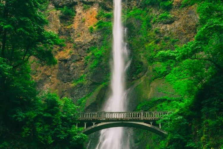 Berjarak 2 KM dari Air Terjun, Warung Unik di Mojokerto Ini Jadi Satu-Satunya Bangunan di Tengah Hutan Pinus?