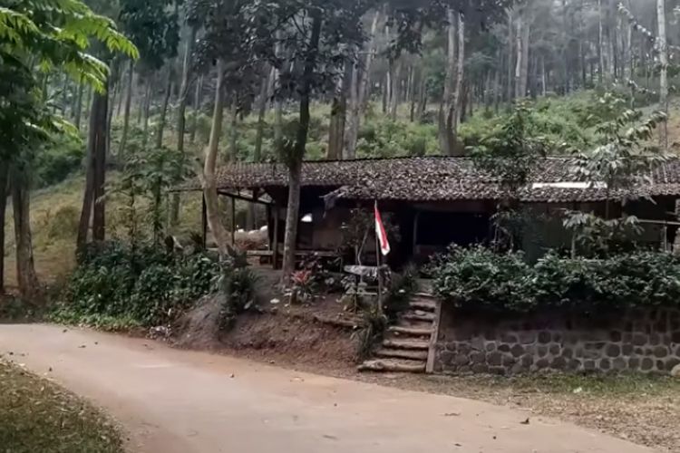 Berdiri Sejak 8 Tahun Silam, Warung Watu Kursi di Jawa Timur Ini Buka Selama 24 Jam di Tengah Hutan Mojokerto