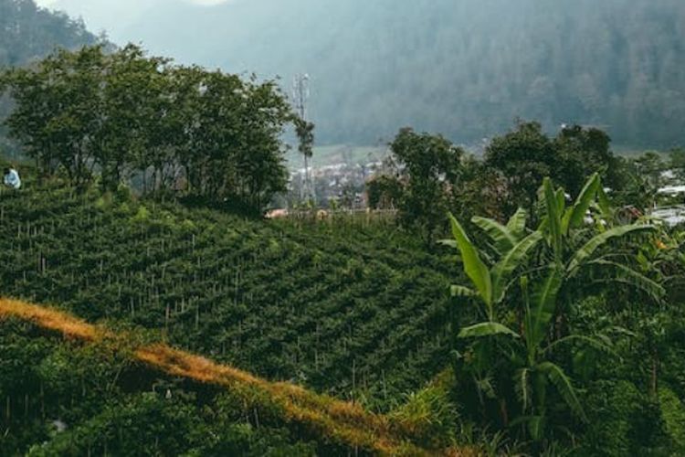 Mulai Mataraman hingga Blambangan, Benarkah Pemekaran Wilayah Jawa Timur Bakal Hasilkan 3 Provinsi Baru?