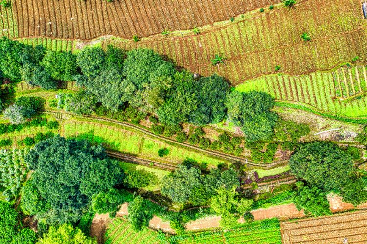Kabupaten Luwu di Sulawesi Selatan Ini Lakukan Pemekaran Wilayah hingga Hasilkan 3 Daerah, Apakah Ada Kotamu?