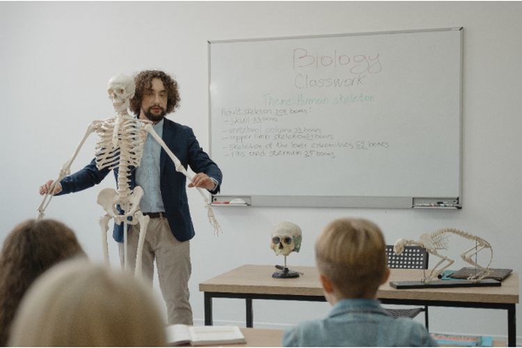 Inilah 5 Daerah Penghasil Orang Cerdas di Sulawesi Selatan, Makassar dan Palopo Tempati Ranking Berapa?