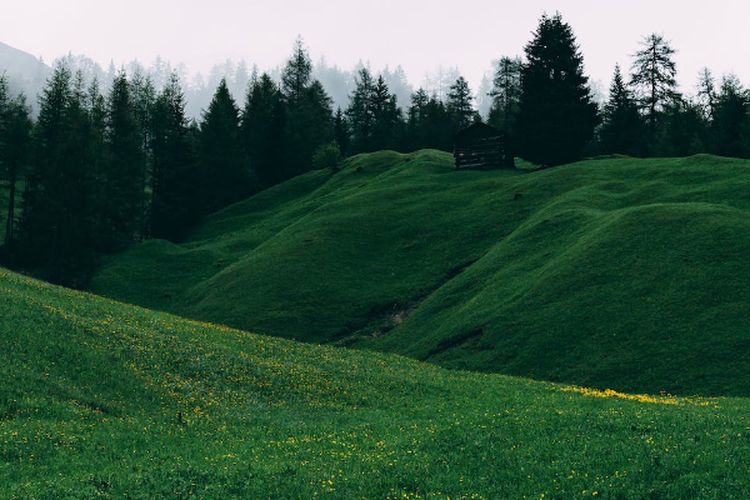 Miiiki Bentuk Unik Bak Jari Tangan, Bukit Jempol di Sumatera Selatan Ini Hanya 20 KM dari Pusat Kota Lahat