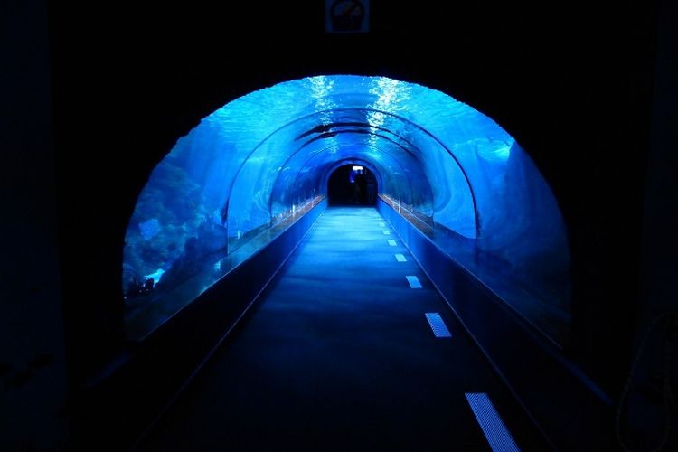 Punya Panjang 2 Km, Ternyata Ini Alasan Pembangunan Tol Bawah Laut Penghubung Jawa-Bali Tak Terealisasi