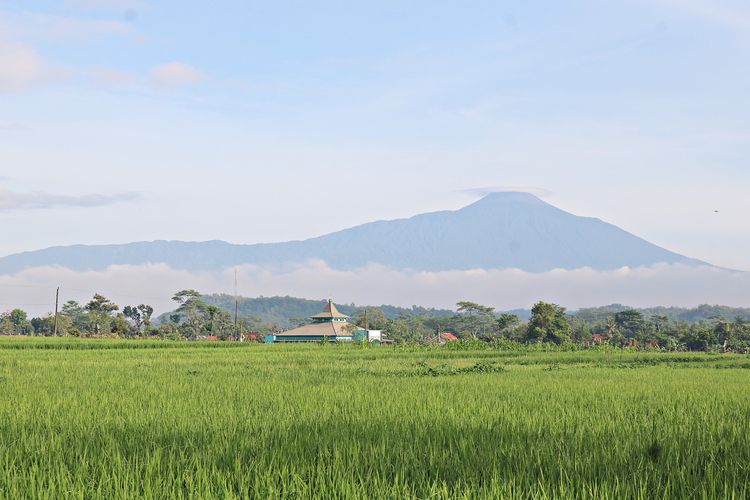 Pulau Jawa Terbelah! Sejak Tahun 1135 Jayabaya Diramalkan Tentang Dampak Meledaknya Gunung di Jawa Tengah