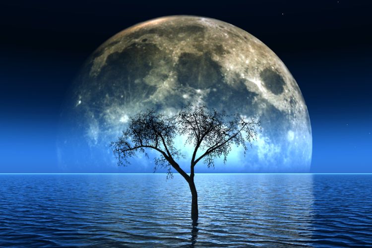 Terungkap! Ini Alasan Kutub Selatan Bulan Menarik untuk Diteliti, Chandrayaan-3 yang Pertama Mendarat?