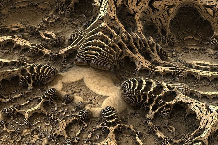 4 Fosil Manusia Purba Ditemukan di Jawa Tengah, Jadi Bukti Kalau Peradaban Kuno Pernah Ada di Indonesia