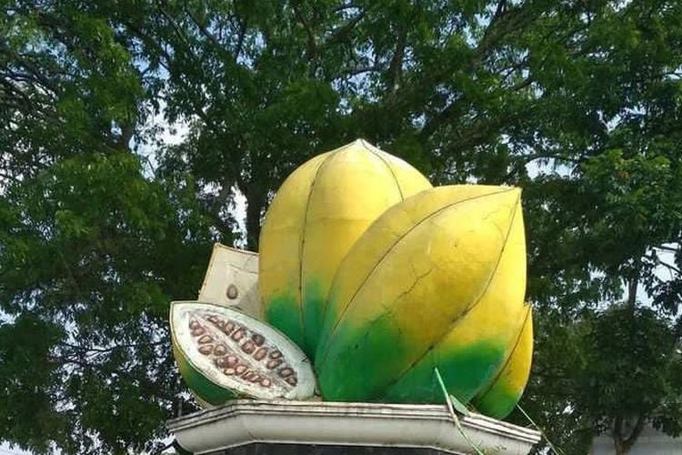 Hanya Bisa Tumbuh Diatas 1500 MDPL, Inilah 3 Fakta Buah Carica yang Cuma Tumbuh di Dataran Tinggi Dieng