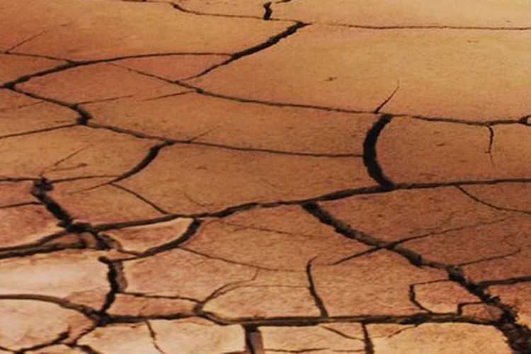Waspadai El Nino Akibat Kemarau Berkepanjangan! Ini Dampaknya Terhadap Kesehatan Manusia