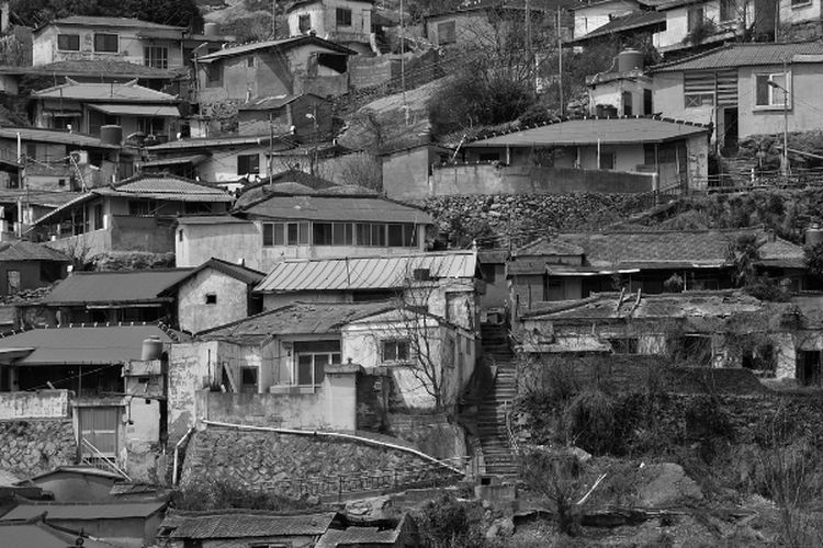 Dibayangi Kemiskinan, Tak Disangka Daerah ini Jadi Penghasil Kelapa Terbesar di Sulawesi Utara, Apakah Kotamu?