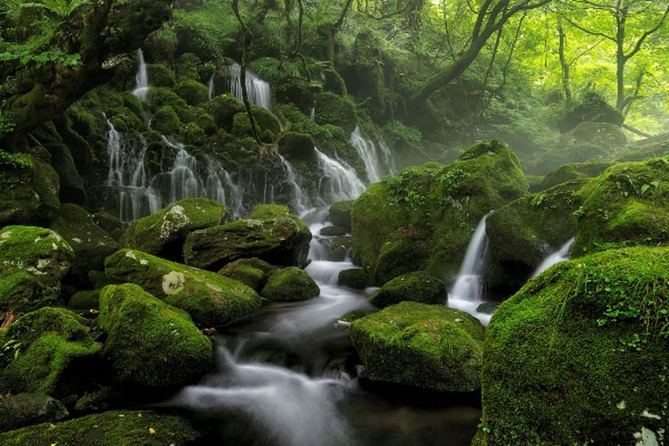 Unik! Terpancar Air di Tengah Pekarangan Desa di Pelosok Kabupaten Lampung Selatan, Dikira Sungai Ternyata…