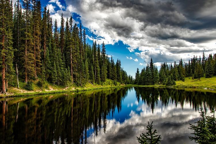 Ada di Ketinggian 1.289 Mdpl, Danau Terdalamdi Jambi ini Letaknya Terpencil di Hutan tapi Bikin Penasaran