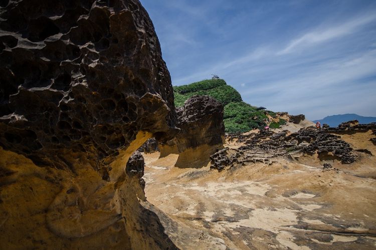 Dapat Pengakuan UNESCO, Geopark di Jambi ini Punya Warisan Purba Berusia 300 Juta Tahun, Terlangka di Dunia?