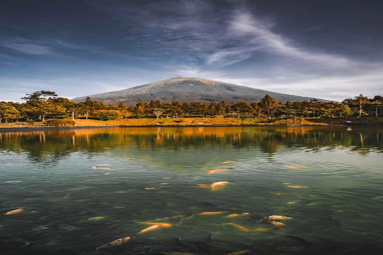 Perkampungan Kecil di Kalimantan Barat Ini Berada di Atas Danau dan Hutan Rawa, Umurnya Sudah Tua Banget