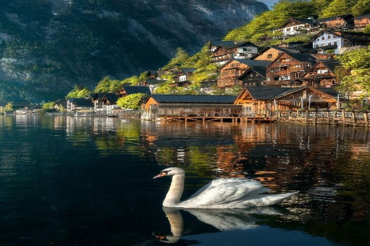 Dananya Rp 4,2 M, Kalimantan Barat Bangun Jaringan Listrik PLN di Kampung Pelosok, Kini Sudah Bisa Dinikmati