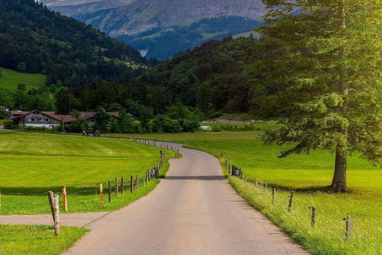 Anggarannya Rp 200 Miliar, PLN Bangun Jaringan Listrik Ke-56 di Perkampungan Kecil Kalimantan Barat