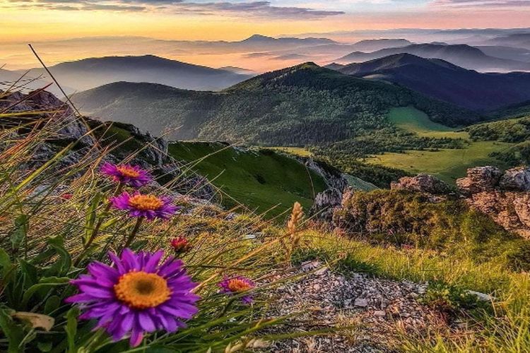 Gunung Unik Berlapis Tujuh di Kalimantan Barat Ini Panjangnya hingga Mencakup 4 Kecamatan, Indah tapi…