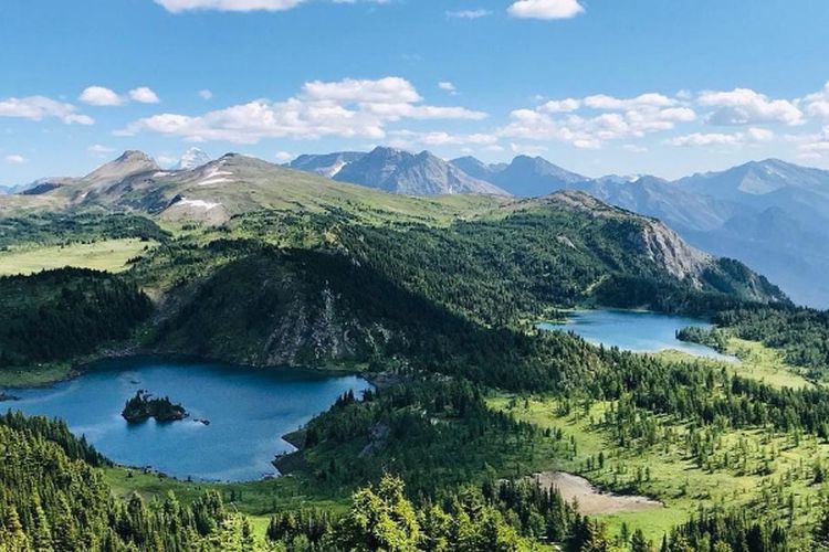 Dipenuhi Lumut, Gunung di Sulawesi Selatan Ini Masih Terjaga hingga 70 Persen Kelestariannya, Letaknya…