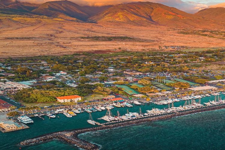 Luasnya 36 Hektar, Pembangunan MNP di Sulawesi Selatan Berkapasitas 2,5 Juta TEUs, Siapkan Rute Mancanegara?