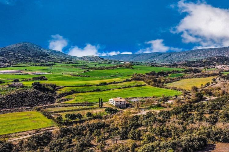 Demi Jaga Kualitas Sejak 1953, Pabrik Sirup di Sulawesi Selatan Ini Punya Lahan Perkebunan 15 Hektar