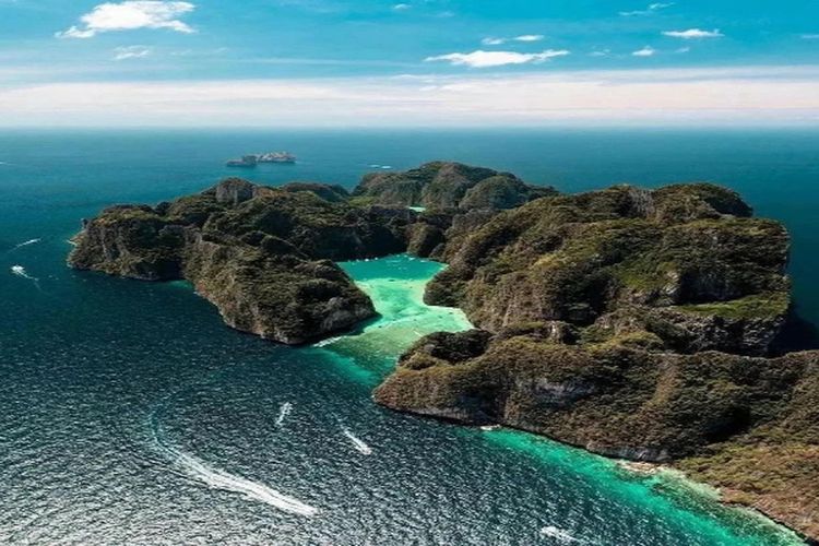 Bukan Rahasia Umum Lagi, Sulawesi Selatan Punya Surga di Bawah Laut dengan Berbagai Macam Biota yang Unik