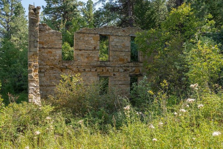 Sudah 8 Tahun Terbengkalai, Proyek Pembangunan Gedung di Kalimantan Barat Telah Ditumbuhi Semak Belukar