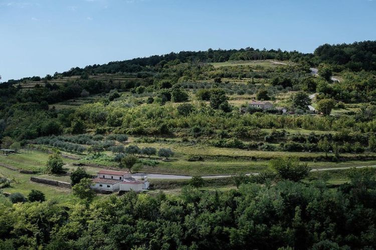 3 Bukit di Kalimantan Barat Ini Memiliki Pemandangan Eksotis, Ada yang Dijuluki Negeri di Atas Awan