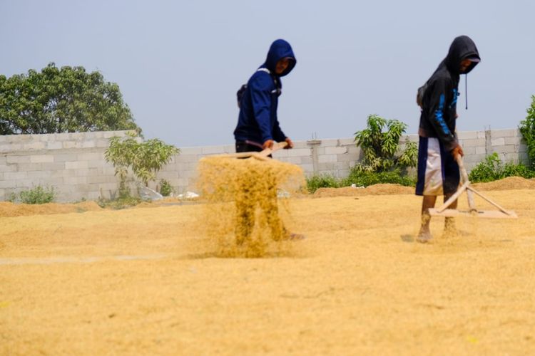 Dukung Revitalisasi Usaha, PT Wilmar Padi Indonesia Luncurkan Upgrading Penggilingan