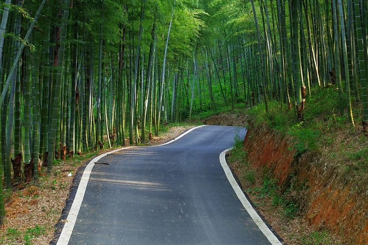 Jalan Tol Ini Gunakan 10 Juta Material Matras Bambu dalam Pembangunannya! Inovasi Baru Anak Bangsa