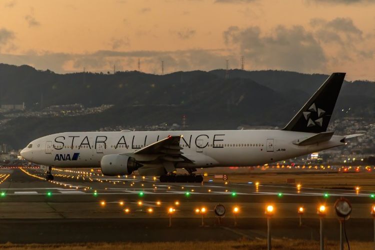 Proyeknya Tersendat-sendat, Bandara Baru di Kalimantan Timur Ini Lahap Tumbal Senilai Rp 137,5 Miliar