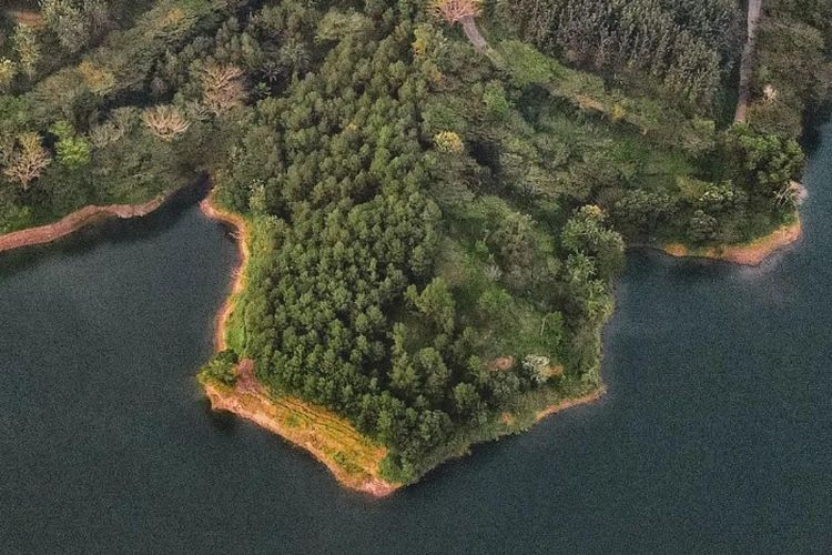 Terbesar di Jawa Timur, Bendungan yang Dibangun pada Aliran Sungai Gondang Ini Telan Dana 14,954 Miliar Yen