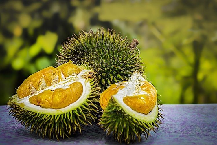 Pecinta Durian Wajib Merapat! Inilah 5 Daerah Penghasil Durian Terbesar di Jawa Timur, Juaranya Bukan Malang